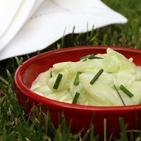 Salade de concombre SQ