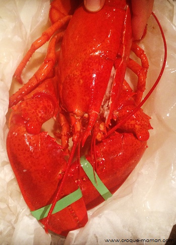 Lobster - Croque-Maman
